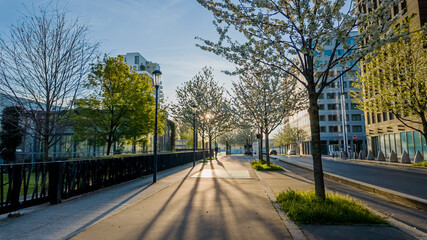 Urban spring morning scene with flowering trees and long shadows on an empty pedestrian pathway,...
