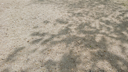 Dappled sunlight casting leafy tree shadows on a gravel surface, conveying a tranquil summer day or a nature-inspired Earth Day concept