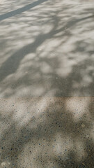 Abstract pattern of tree shadows cast on a textured concrete surface, conveying tranquility and the concept of urban nature