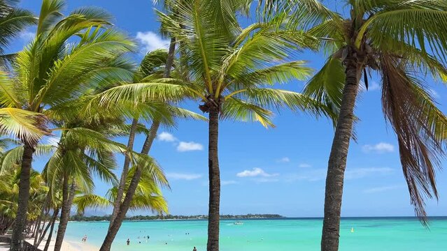 Trou Aux biches beach, magnificent turquoise blue crystal waters visible through tropical palm trees and the endless blue of the Indian ocean.