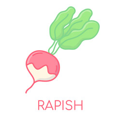 Rapish vegetable lcolored icons illustration