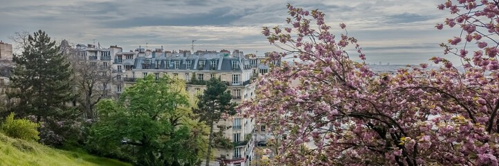 Panoramic view of Parisian spring with blooming cherry blossoms framing historic apartment buildings, ideal for travel and romantic getaway concepts
