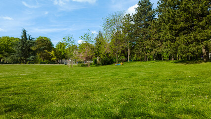Tranquil city park with lush green grass and diverse trees on a clear, sunny day, ideal for Earth...