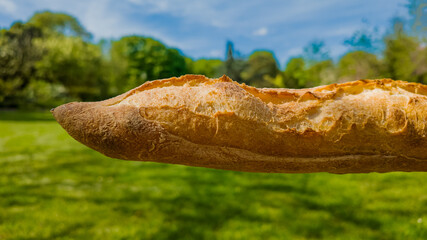 Close-up of a fresh baguette with a crisp crust against a vibrant green park background, perfect...