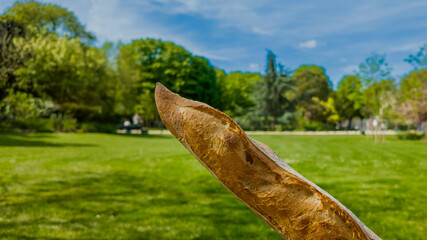 Fresh French baguette held against a sunny park backdrop, ideal for picnic, gastronomy, and...