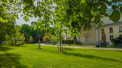 Tranquil urban park in spring with lush greenery and classical architecture, perfect for Earth Day and International Day of Forests backgrounds