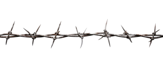 barbed wire isolated on white transparent background 