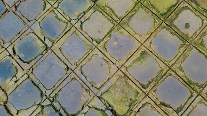 Moss-covered paving stones with accumulated water in a garden, ideal for concepts like monsoon...