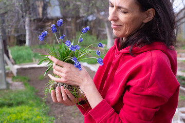 Woman  with  muscari in garden