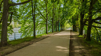 Tranquil riverside walking path lined with lush green trees on a sunny Spring day, ideal for Earth Day themes and outdoor leisure concepts