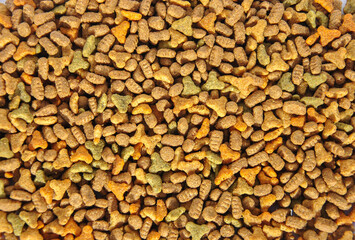 dry cat food background. pet food throughout the photo