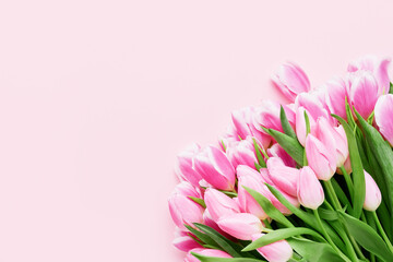 Bouquet of pink tulips on pink background. Mothers day greeting card. Copy space