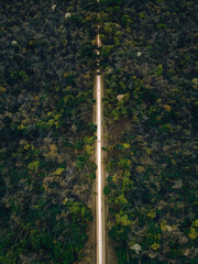 Obraz premium A estrada na floresta