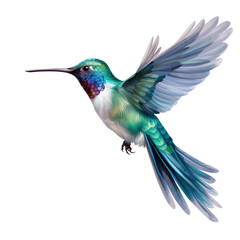 Fototapeta premium Beautiful flying hummingbird on a transparent background