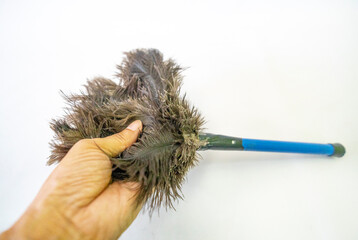 Small blue-handled duster with black feathers