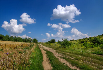 Rural country road and wheat field with ears, natural scenery and blue sky with clouds