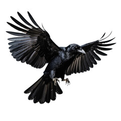 Naklejka premium Black crow flying on a transparent background