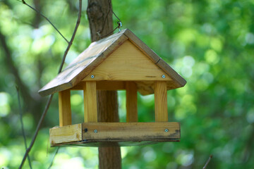 A wooden bird house 