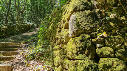 A famous stairway through the forest leading to Moscenice, Croatia. The stairs are made of irregulars shaped stones, having different size. The sides are overgrown with lush plants and moss.