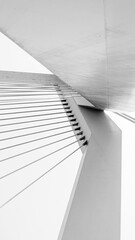 Monochrome image of a bridge from a low angle view