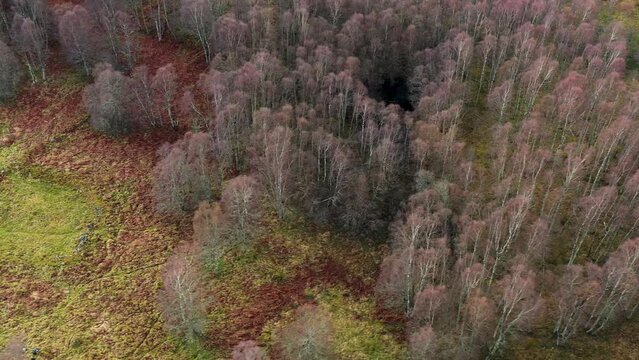 New Kinord prehistoric Iron Age settlement house circles 2000 to 2500 years old. Near shore of Loch Davan, Grampian, Scotland. Aerial video looking N