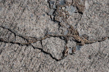 Textures with cracks on the cement floor