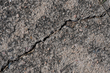 Textures with cracks on the cement floor