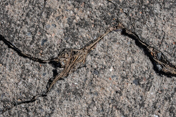 Textures with cracks on the cement floor