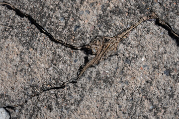 Textures with cracks on the cement floor