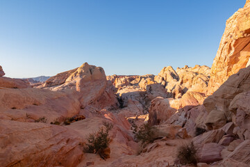 Panoramic sunrise view of arid landscape with striated red and white rock formations along the White Domes Hiking Trail in Valley of Fire State Park in Mojave desert, Overton, Nevada, USA. Road trip