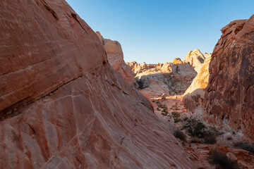 Panoramic sunrise view of arid landscape with striated red and white rock formations along the White Domes Hiking Trail in Valley of Fire State Park in Mojave desert, Overton, Nevada, USA. Road trip