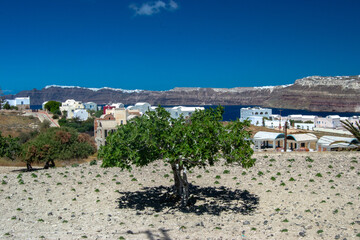 Promenade dans le village de Akrotiri, sur l'ile de Santorin en Grèce, durant le mois d'avril