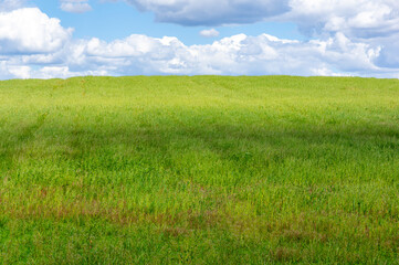 Background of a Hill: Hill with Spring Green Grass, Crowned by a Characterful Sky, Blue with White Clouds.