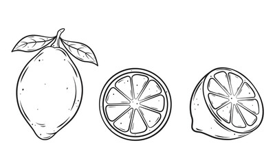 Fresh lemon fruit. Set of lemon vector icons. Vector illustration