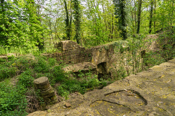  Klosterruine Disibodenberg