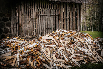 arboreal, arboretum, beauty, boardwalk, botanical, botanical garden, environment, flora, foliage, footpath, fresh, garden, garden design, green, greenery, growth, harmony, landscape, landscaping, leaf