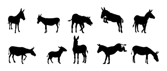 Set of donkey silhouettes. Vector illustration