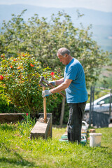 An elderly man is fixing his gardening tool. He is using suitable tools to fix his broken gardening tool. 
He is using his gardening tools for spring work in the orchard and wineyard.