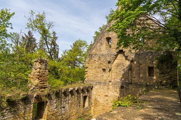 Klosterruine Disibodenberg