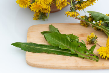 Fresh dandelion leaves on wooden background with yellow flowers