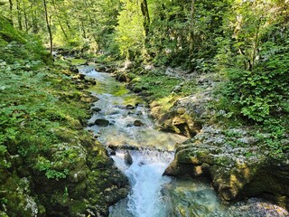 Fototapeta premium waterfall in the forest