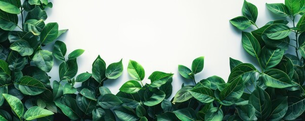 Naklejka premium leafs foliage frame banner illustration with blank space in the center, beautiful warm and pastel tones