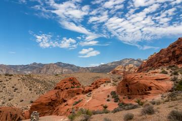 Close up view of rock formation of Aztec sandstone slickrock rock formation on the Calico Hills Tank Trail, Red Rock Canyon National Conservation Area in Mojave Desert near Las Vegas, Nevada, USA
