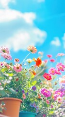 A refreshing image showcasing a variety of colorful flowers in a pot with a bright blue sky in the background, evoking a sense of renewal