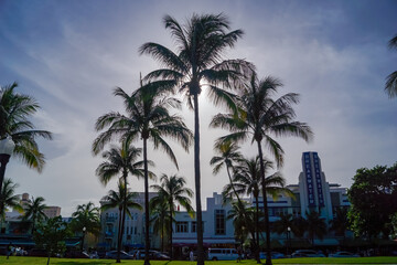 Scenic view from Oceans Drive on the silhouette of the tropical palm trees in Miami downtown during sunset, Florida, USA. Exotic trees in the foreground creating calm, relaxed and tranquil atmosphere