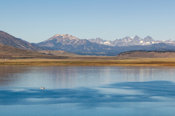 panoramic view over the Crowley lake to a iconic mountain range at a bright sunny summer day,...