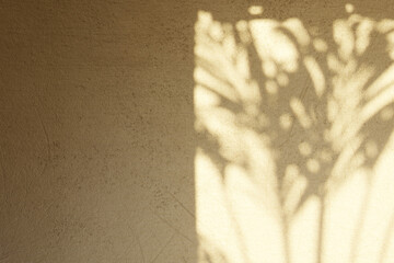 sunlight projects the leaves of a palm tree onto a clay wall. 3D rendering
