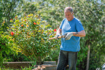 An elderly man is fixing his gardening tool. He is using suitable tools to fix his broken gardening tool. 
He is using his gardening tools for spring work in the orchard and wineyard.