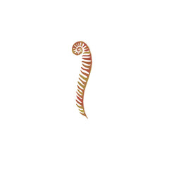 Transparent fern branch element for design and decoration without background png