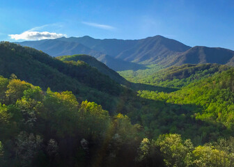 The Great Smokey Mountains in summer